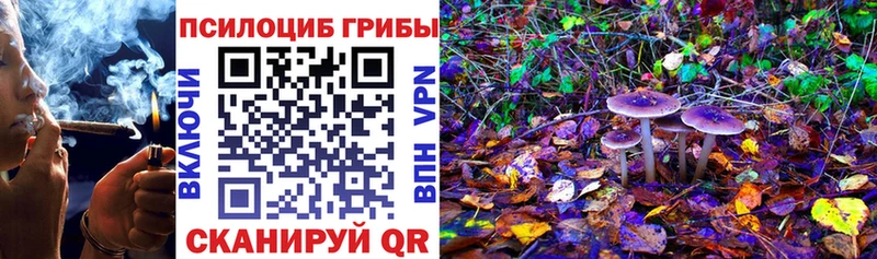Псилоцибиновые грибы Cubensis  Великий Новгород 