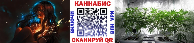 закладки  hydra ссылки  Марихуана Ganja  Великий Новгород 